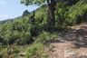 Land for sale in Mae Nam, Surat Thani