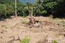 Land for sale in Mae Nam, Surat Thani