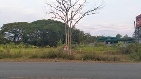 Land for sale in Chae Chang, Chiang Mai