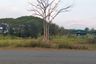 Land for sale in Chae Chang, Chiang Mai