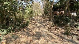 Land for sale in Wiang, Chiang Rai