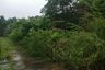Land for sale in Tha Yang, Chumphon