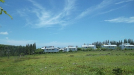 Land for sale in Pa Khlok, Phuket