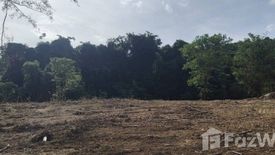 Land for sale in Choeng Thale, Phuket