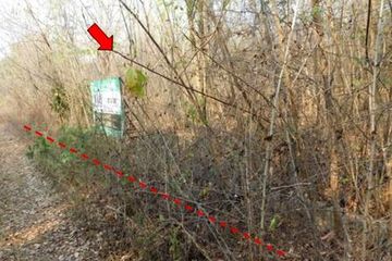 Land for sale in Kan Chu, Phetchabun