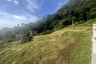 Land for sale in Kamala, Phuket