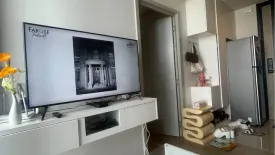 1 Bedroom Condo for rent in OKA HAUS Sukhumvit 36, Khlong Tan, Bangkok near BTS Thong Lo