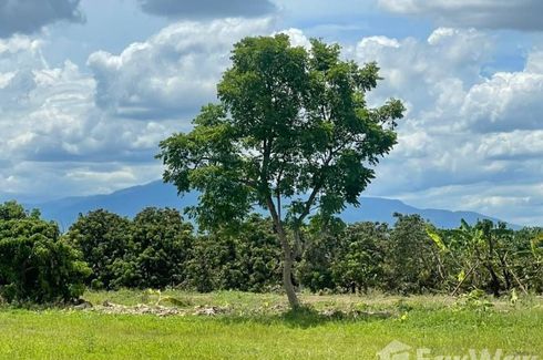 Land for sale in Khua Mung, Chiang Mai