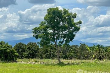 Land for sale in Khua Mung, Chiang Mai