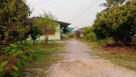 Land for sale in Mae Faek Mai, Chiang Mai