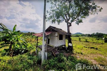 Land for sale in Lipa Noi, Surat Thani