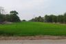 Land for sale in Wang Chula, Phra Nakhon Si Ayutthaya