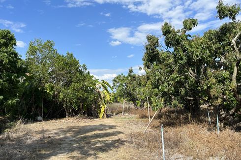 Land for sale in Han Kaeo, Chiang Mai