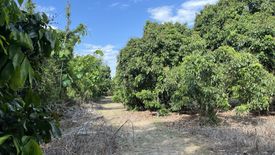 Land for sale in Han Kaeo, Chiang Mai