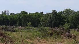 Land for sale in Ratsada, Phuket