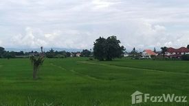 Land for sale in Mae Hia, Chiang Mai