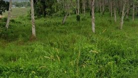 Land for sale in Thep Krasatti, Phuket