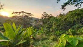 Land for sale in Kamala, Phuket