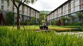 1 Bedroom Condo for rent in Dcondo Campus Resort Chiangmai, Suthep, Chiang Mai