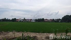 Land for sale in Mae Hia, Chiang Mai