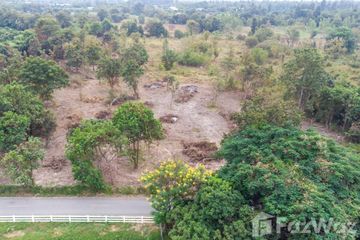 Land for sale in Nong Tong, Chiang Mai