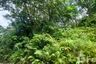Land for sale in Chalong, Phuket