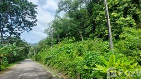 Land for sale in Chalong, Phuket