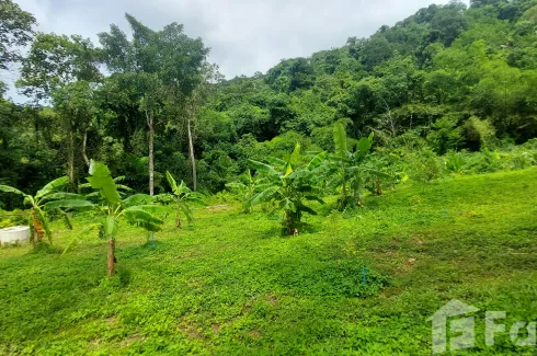 Land for sale in Chalong, Phuket
