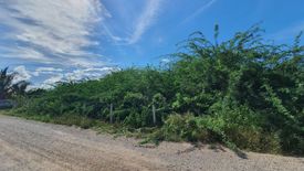 Land for sale in Nong Kae, Prachuap Khiri Khan