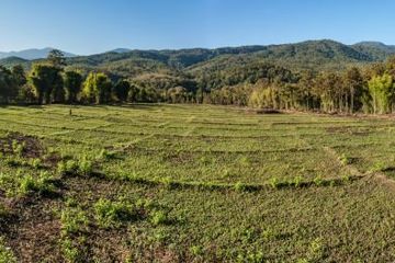 Land for sale in Mae Raem, Chiang Mai