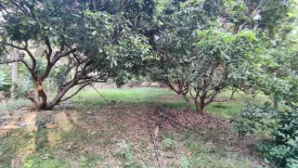 Land for sale in Rong Wua Daeng, Chiang Mai