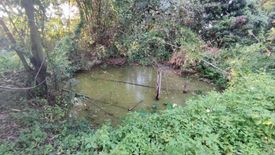 Land for sale in Rong Wua Daeng, Chiang Mai