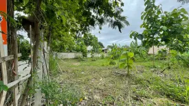Land for sale in Nong Chom, Chiang Mai