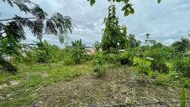 Land for sale in Nong Chom, Chiang Mai
