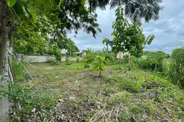 Land for sale in Nong Chom, Chiang Mai