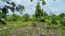 Land for sale in Nong Chom, Chiang Mai