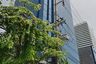 Office for rent in Lake Ratchada Office Complex, Khlong Toei, Bangkok near BTS Asoke