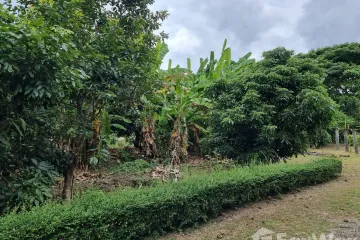 Land for sale in Don Kaeo, Chiang Mai