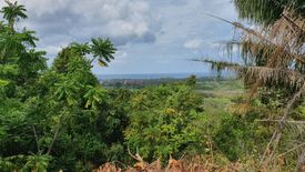 Land for sale in Mai Khao, Phuket