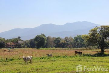 Land for sale in Mae Raem, Chiang Mai