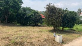 Land for sale in Santi Thani, Mae Nam, Surat Thani