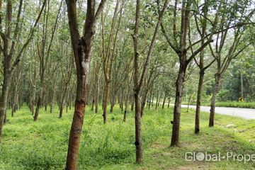 Land for sale in Khao Khan Song, Chonburi