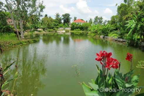 Land for sale in Nong Prue, Chonburi