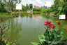 Land for sale in Nong Prue, Chonburi