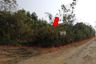 Land for sale in Bo Thai, Phetchabun