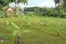 Land for sale in Saphan Sung, Bangkok