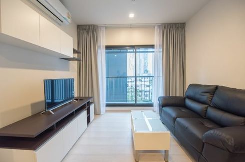 1 Bedroom Condo for rent in Life Sukhumvit 48, Phra Khanong, Bangkok near BTS Phra Khanong