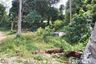 Land for sale in Ko Kaeo, Phuket