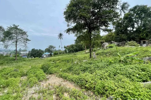 Land for sale in Bo Phut, Surat Thani