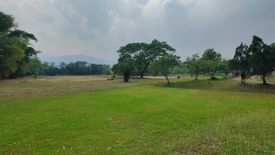 Land for sale in Rim Tai, Chiang Mai